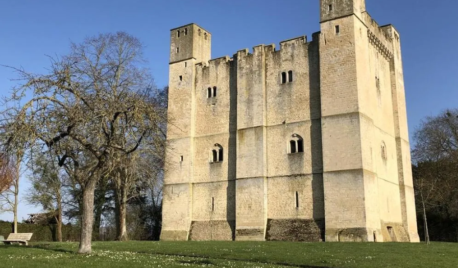 Donjon de Chambois, France